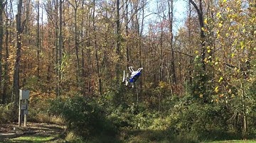 Blade 450X Test Flight After BeastX Adjustments