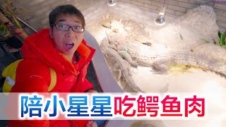 They went to eat crocodile meat ! Xingxing was scared and hesitated to go to the toilet !