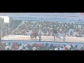 Huluyi D Vadeo VS Rukukhoto Khesoh Pre Quarter Final CWA 2026
