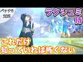 【FF14】ラクシュミに侍(DPS)で挑戦【これだけ知っていれば怖くない パッチ5】
