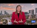 Everybody wants to cut migration but nobody wants to say how | ABC NEWS