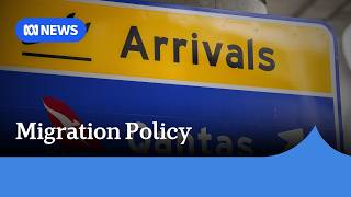 Everybody wants to cut migration but nobody wants to say how | ABC NEWS