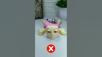 What do you want me to put on top of this turtle? #turtle #coaster #turtlecoaster 116