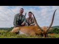 Kingsview Safaris - Red Lechwe Hunt Eastern Cape
