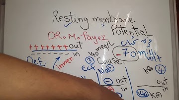 Nerve new system (Resting membrane potential) dr mohamed fayez