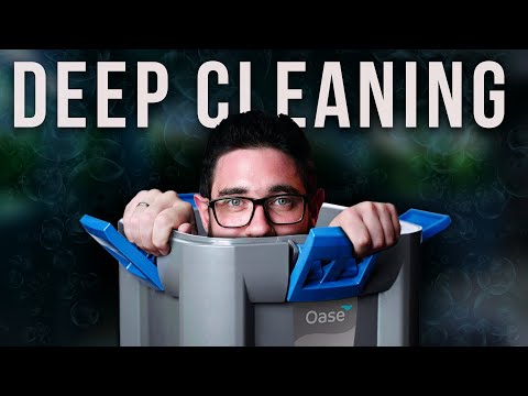 Oase DEEP CLEANING