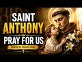 A Beautiful Prayer to Saint Anthony | Catholic Hymn for Lost Things, Healing & Divine Help