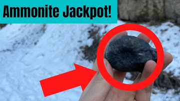Finding The Ammonite Jackpot While Fossil Hunting