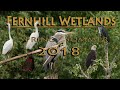 Fernhill Wetlands - Spring/Summer 2018