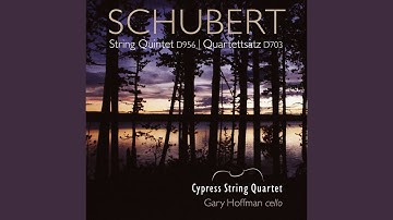String Quartet No. 12 in C Minor, D.703 "Quartettsatz": I. Allegro assai