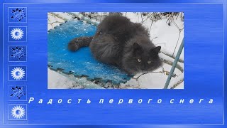 Кот Радуется Первому Снегу, Качается На Качелях!