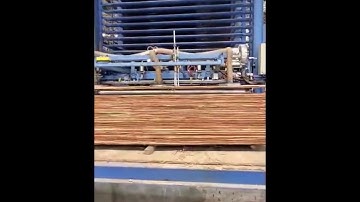 Automatic plywood hot press machine with loading and unloading