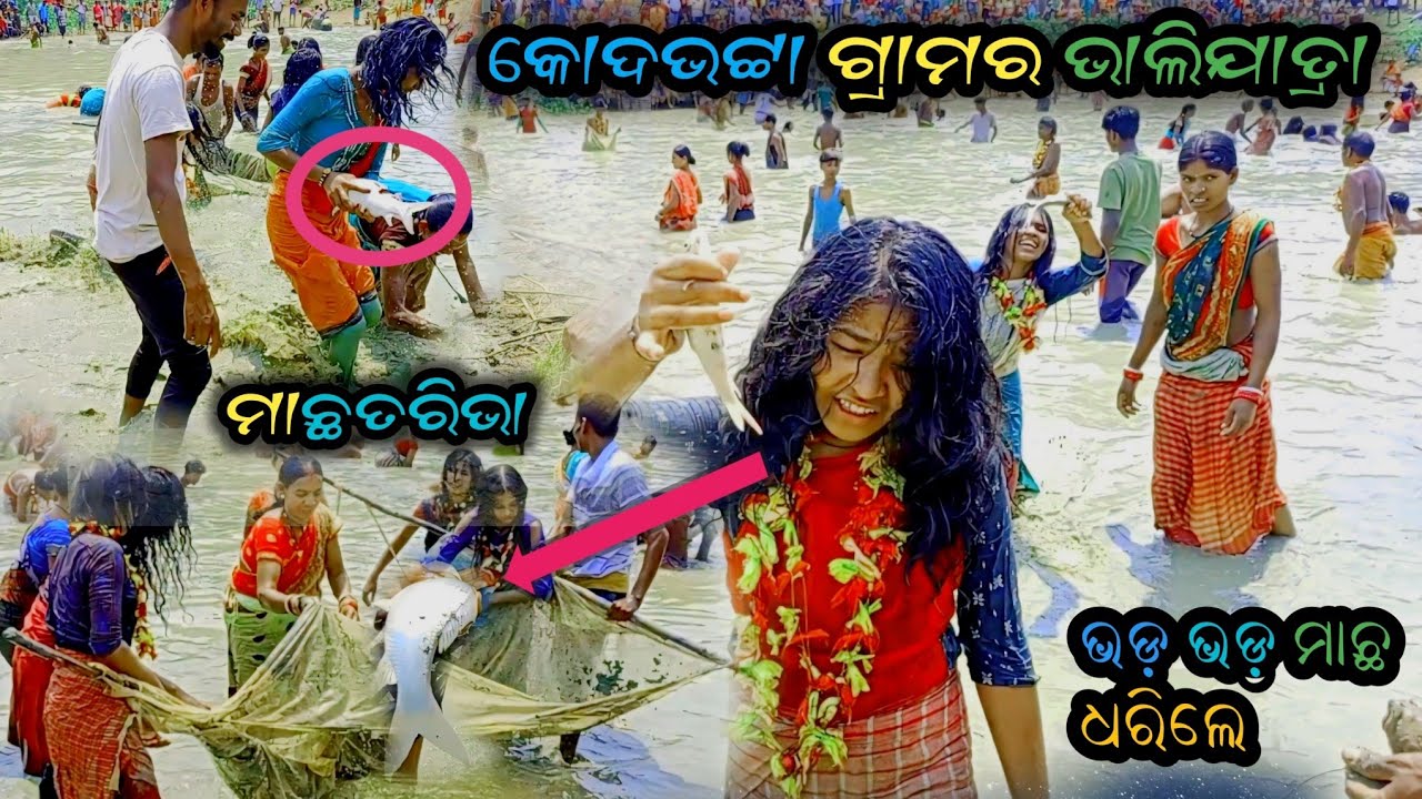 କୋଦଭଟ୍ଟା ଗ୍ରାମର ଭାଲିଯାତ୍ରା !! ମାଛତରିଭା !! ଭଡ଼ ଭଡ଼ ମାଛ ଧରିଲେ//