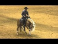 Lyle Lovett Reining Run at Ft Worth Cowtown Showdown 2015 - Part 1