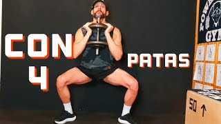 PIERNAS con 4 EJERCICIOS 🦵🏽| En 15 minutos #legs 