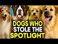 Legendary Movie Dogs | From Lassie to Beethoven – The Stars Who Ruled Hollywood