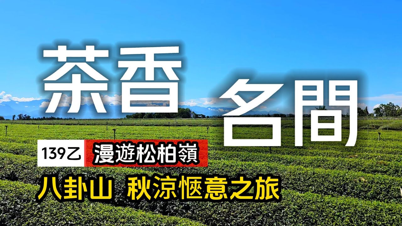 漫遊松柏嶺❗帶你深度玩南投八卦山❗到雲霧中的茶園品茶｜在地人不想公開的限量美食｜南投名間❌139乙縣道｜TAIWAN｜