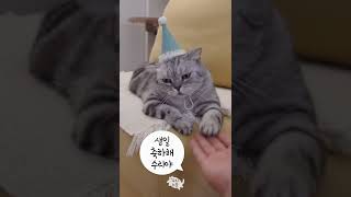 10살이 된 수리 생일