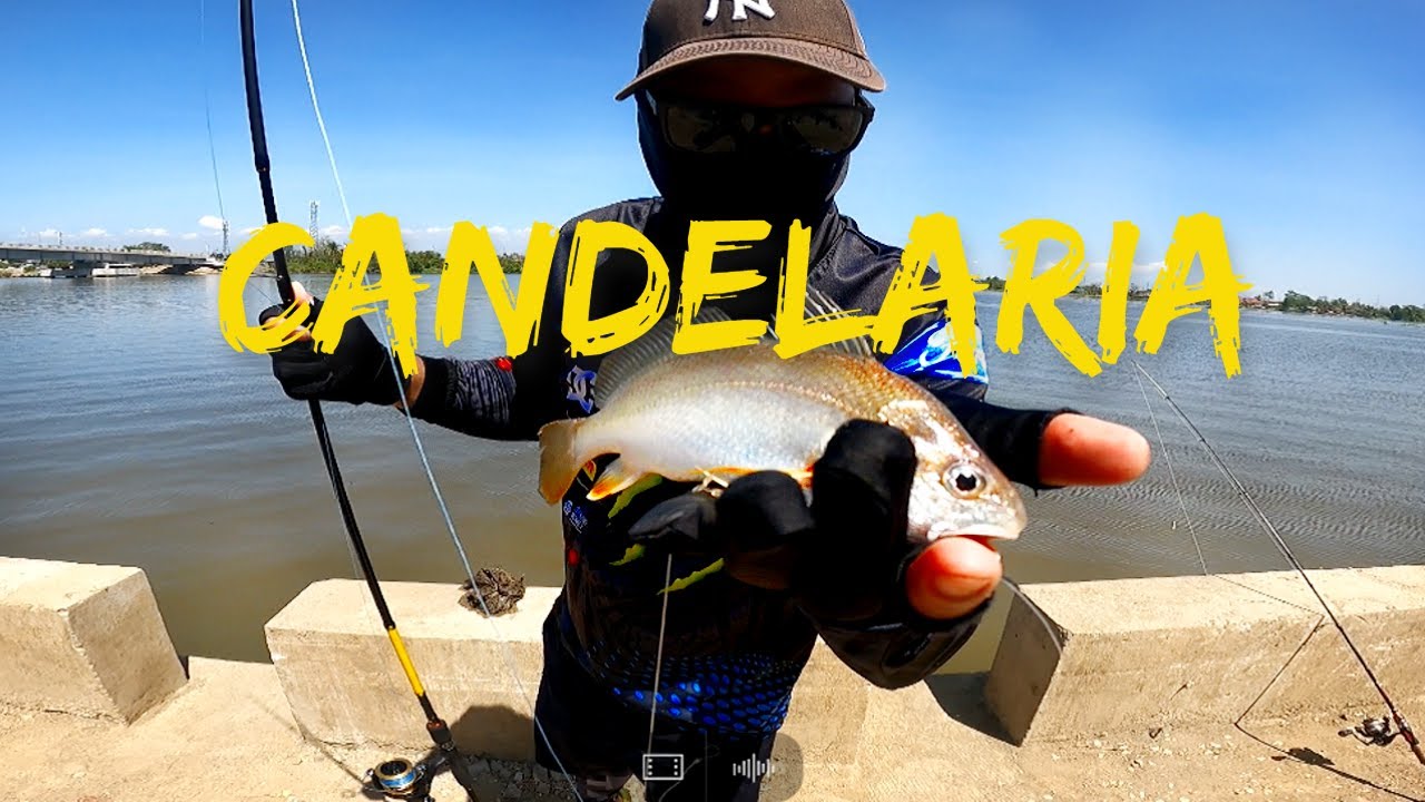 CANDELARIA, PAMPANGA FREE FISHING SPOT -  NEAR DELTA MANILA BAY | Street Fishing | EP16YR1