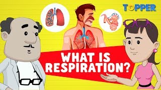 Respiration | Types of Respiration | Class 7th Biology |