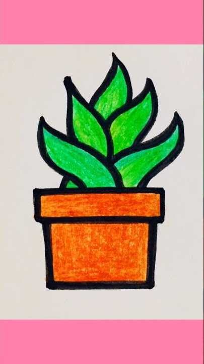 How to draw Aloe Vera plant