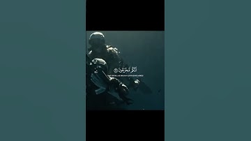 القرآن الكريم #قصص #تلاوة_خاشعة #المدينة_المنورة