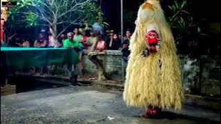seni tari barong Bali desa adat RM 2 lampung tengah