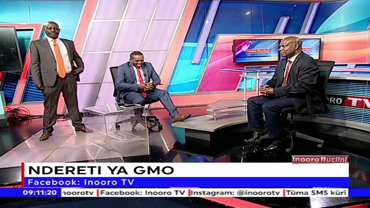 Ndereti ya irio cia GMO