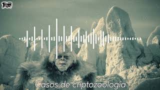 Relatos de Criptozoologia (Relatos del recuerdo) | Relatos del lado oscuro