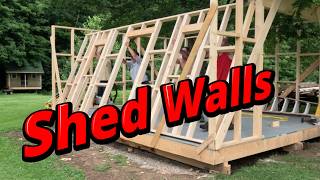My shed build PT 2 # 899