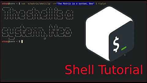 Tips and Secrets to Shell Efficiency