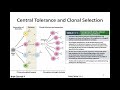 Immunology Fall 2019 Lecture 12: B Cell Selection