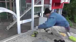 How to Install the Pullet Shut Automatic Chicken door