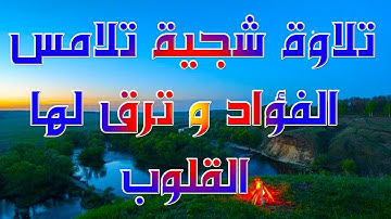 تلاوة شجية تلامس الفؤاد و ترق لها القلوب.