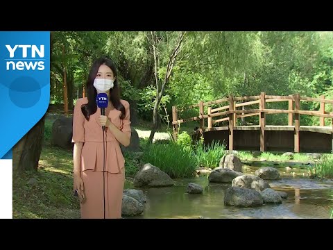 [날씨] 내륙 낮 더위, 충청 이남 소나기...동해안 비바람 / YTN