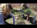 Plantando Arbolitos Frutales en el Hospital Materno Neonatal Cordoba-Argentina