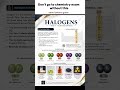 🧪 Halogens Explained in One Shot #chemistry #education #shorts #viral #trending #subscribe #fyp