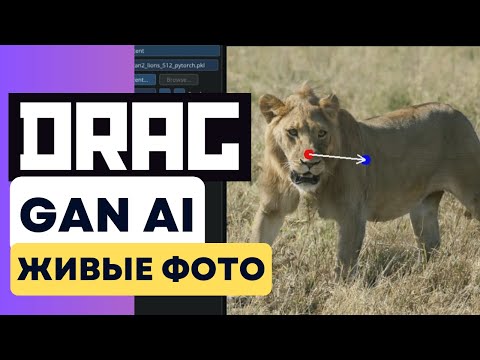 DragGAN AI: Вы Даже Представить Не Могли, Что...