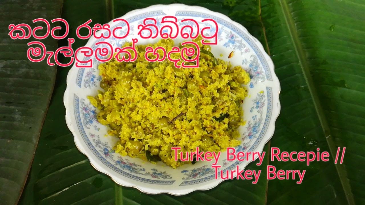 කටට රසට කමු තිබ්බටු මැල්ලුමක්/Turkey Berry Recepie/////Thibbatu malluma