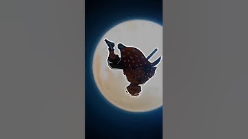 Demon Slayer 4k anime - Shape of You [edit/AMV]