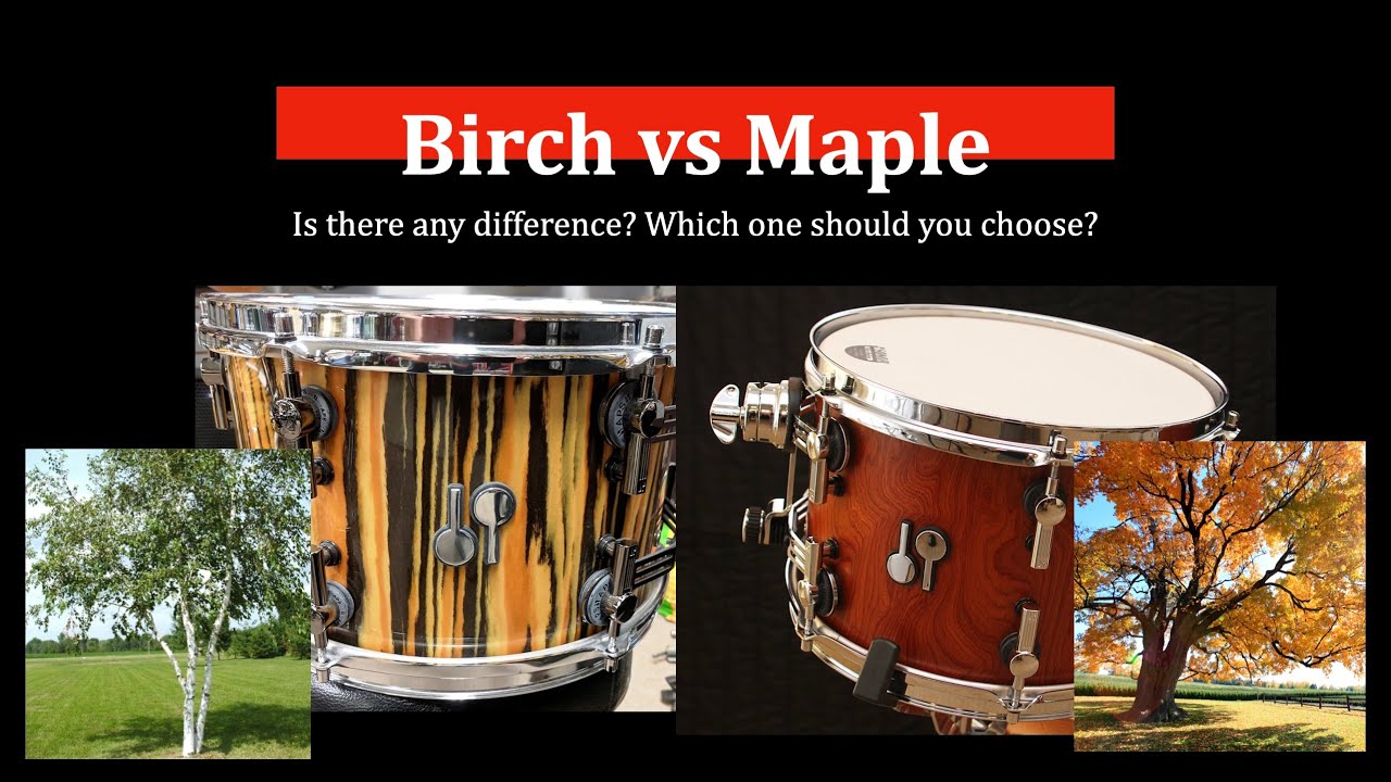 Tom shoot out - Birch vs Maple! Which one should you choose?
