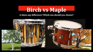 Tom shoot out - Birch vs Maple! Which one should you choose?