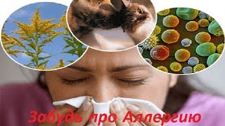 Pip поможет от Аллергии. Pip поможет от Аллергии.