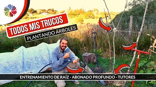 ASÍ PLANTO todos mis ÁRBOLES   nunca se mueren, crecen rápido y dan frutas