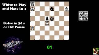 Computer-Generated Chess Problem 04077