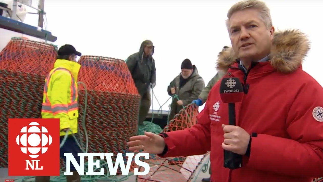 Crab quota cuts will be a blow to rural Newfoundland