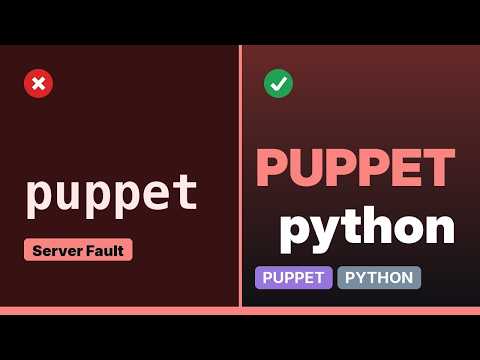 How to Use Puppet python module in manifest file?