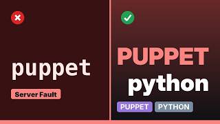 How to Use Puppet python module in manifest file
