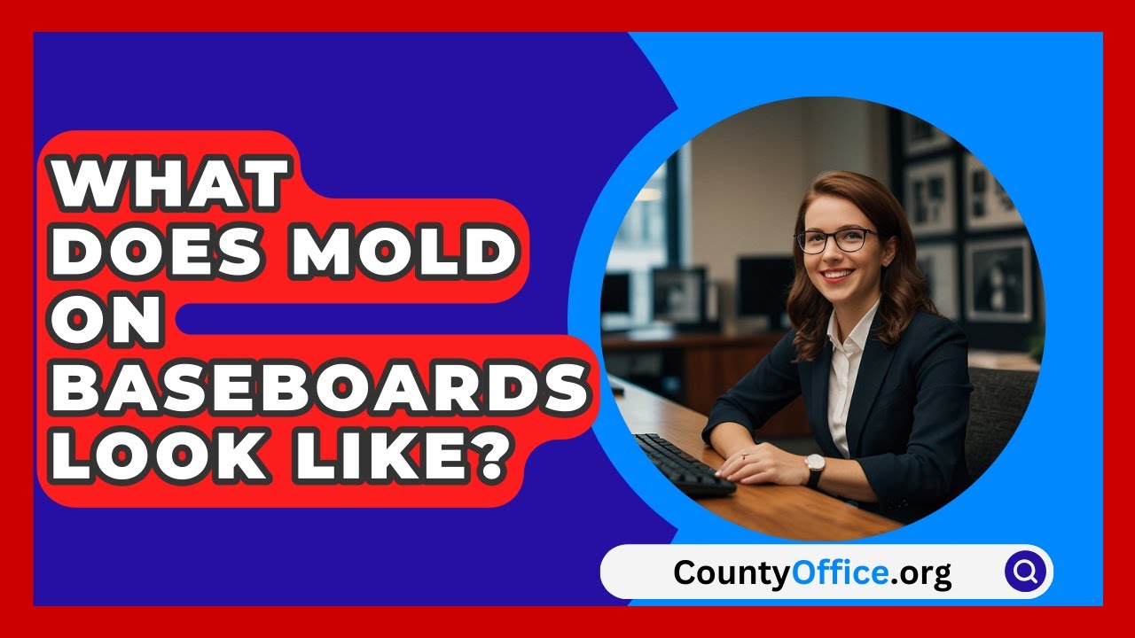 What Does Mold On Baseboards Look Like? - CountyOffice.org