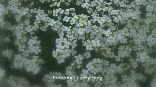 Evinima - What you see with your eyes closed